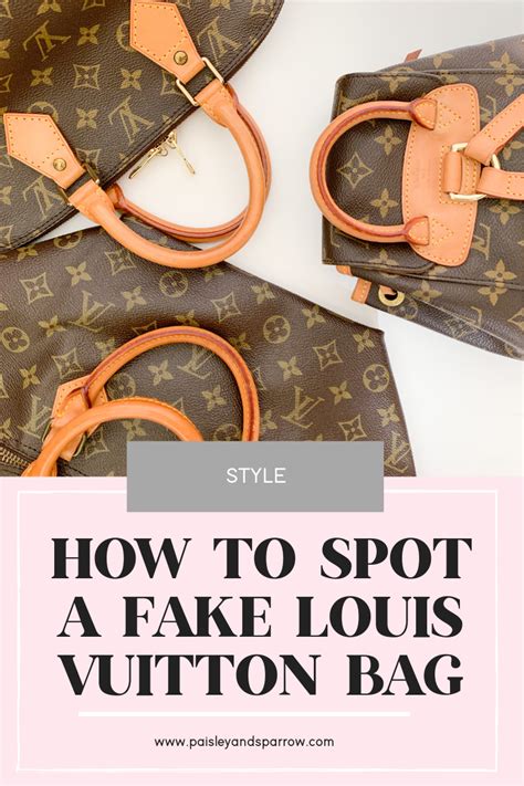 louis Vuitton Bag spot